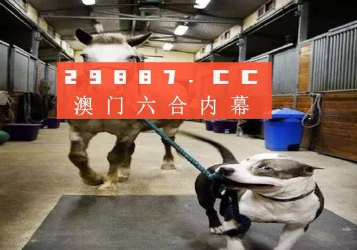 澳门一肖一码一特一中挂-警惕虚假宣传,精选解析落实