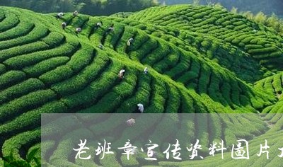 2025天天开彩资料大全最新版:警惕虚假宣传，全面释义落实