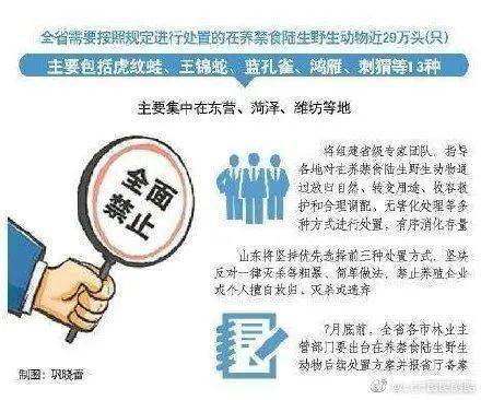 2025天天彩资料免费大全:警惕虚假宣传，使用释义落实