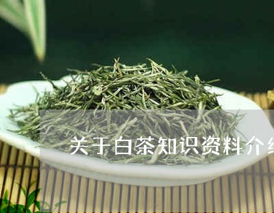 宝马论坛精准免费资料大全:警惕虚假宣传，内容介绍执行