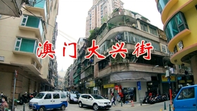 澳门大三巴最准免费:警惕虚假宣传，全面释义落实